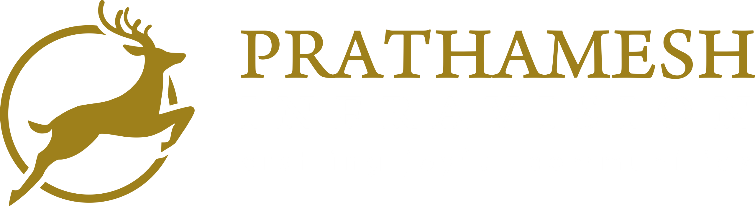 Prathmesh Infravison Logo W